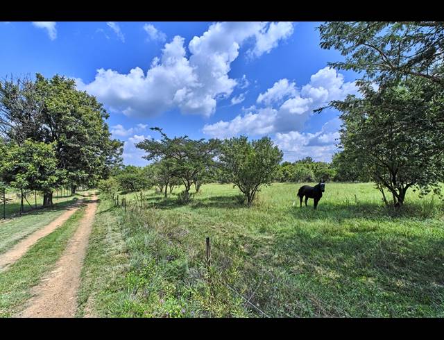 4 BEDROOM EQUESTRIAN PROPERTY FOR SALE IN SUN VALLEY